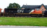 CN 8825